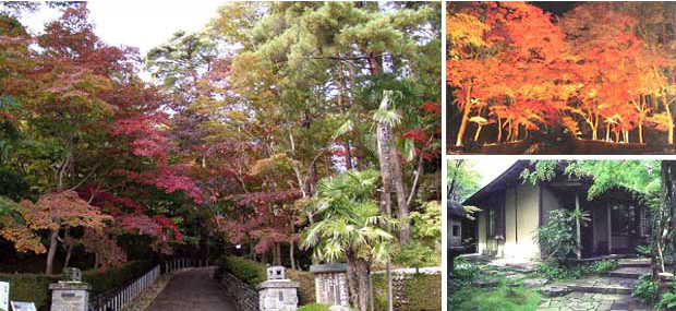 松雲山荘のライトアップ