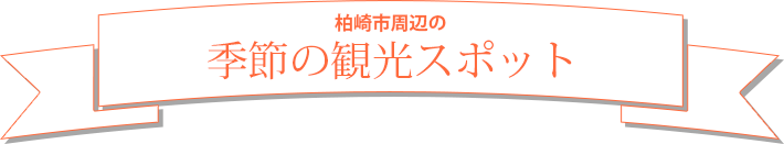 柏崎市周辺の季節の観光スポット