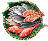 日本海鮮魚センター