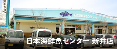日本海鮮魚センター新井店