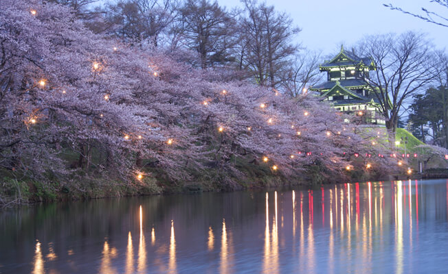 高田公園観桜会