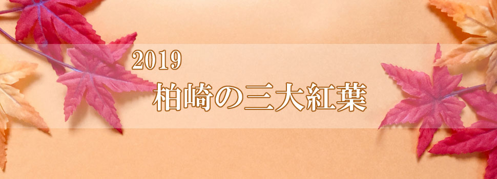 2019 柏崎の三大紅葉