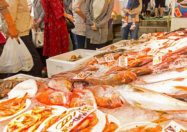 日本海漁夫角 日本海的時令魚盡在此聚集！