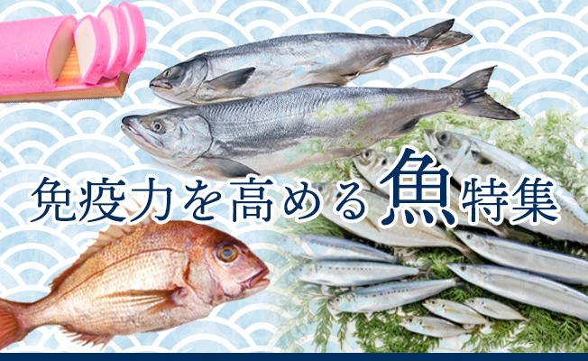 免疫力を高める魚特集