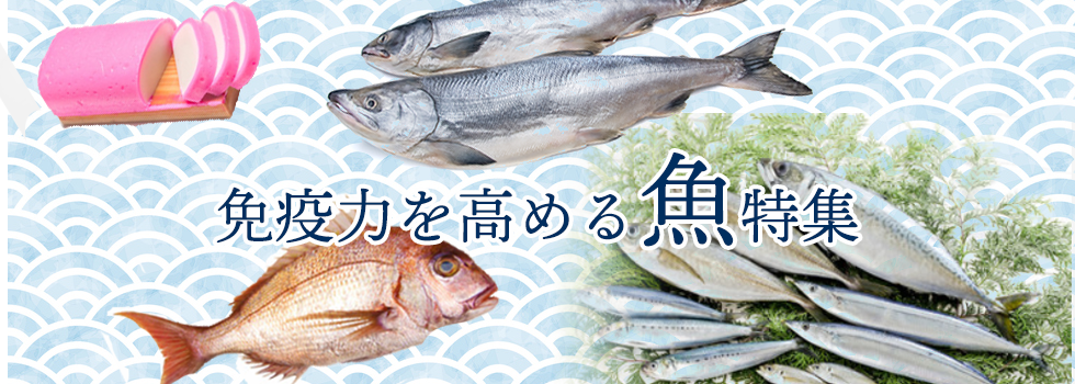 免疫力を高める魚特集