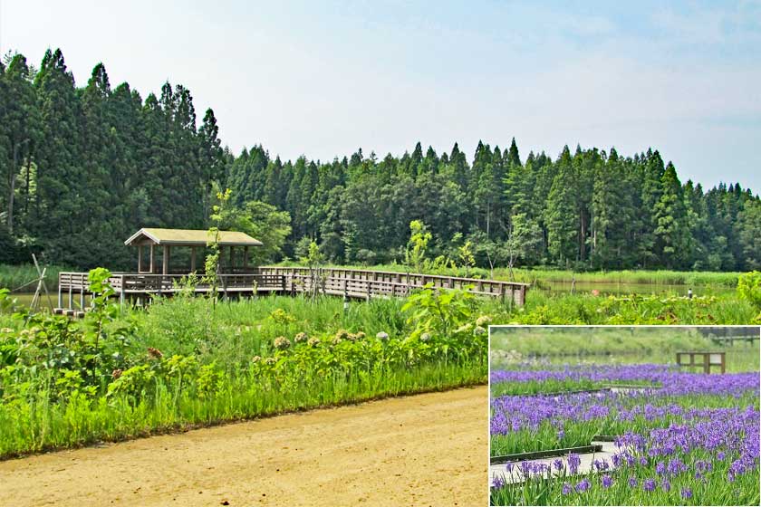 柏崎・夢の森公園