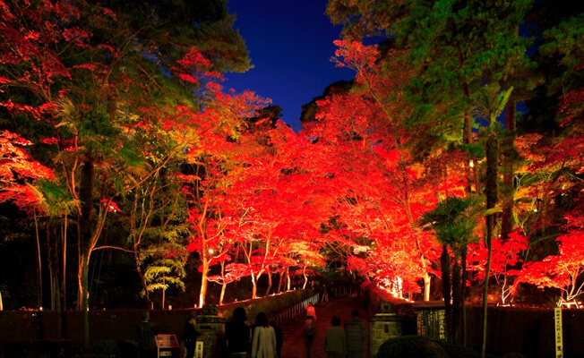 柏崎3大紅葉特集