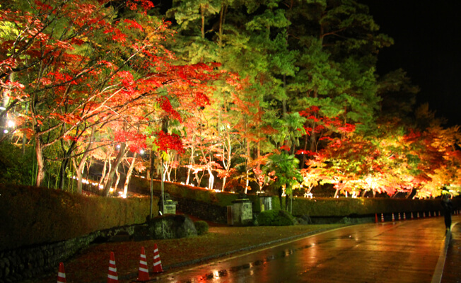 松雲山荘の紅葉